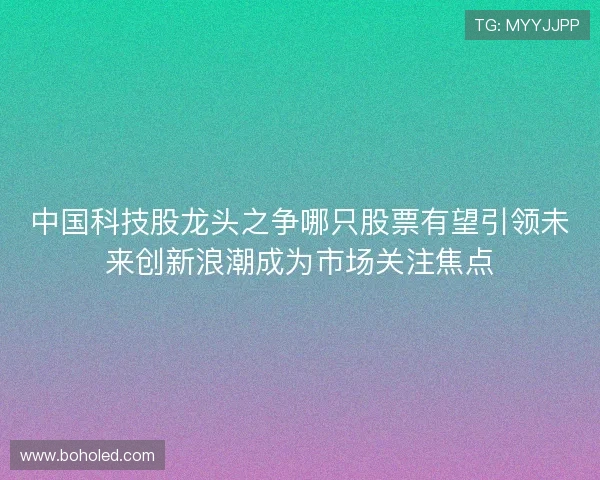 中国科技股龙头之争哪只股票有望引领未来创新浪潮成为市场关注焦点